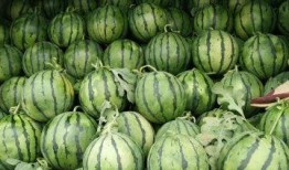 东营吃瓜新闻视频大全最新,盘点那些令人捧腹的瞬间