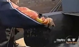 国乒喜剧人吃瓜视频大全,欢乐瞬间，笑料横生