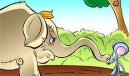 小老鼠吃瓜视频,趣味横生萌态十足