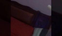 吃瓜大赛每日视频,吃瓜大赛精彩瞬间大盘点