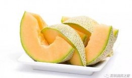 幼儿吃哈密瓜音乐视频,幼儿音乐视频中的甜蜜时光