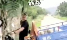 骑摩托吃瓜视频,一场别开生面的骑游盛宴