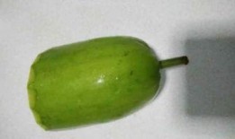 浦儿瓜做好吃怎么吃视频,跟随视频轻松学会家常做法