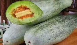 吃羊角瓜视频大全,视频大全带你领略独特风味